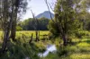 10 Holey Flat Lane, Moorland NSW 2443-Image