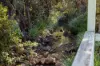 10 Holey Flat Lane, Moorland NSW 2443-Image