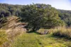 10 Holey Flat Lane, Moorland NSW 2443-Image
