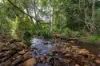 10 Holey Flat Lane, Moorland NSW 2443-Image