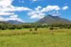10 Holey Flat Lane, Moorland NSW 2443-Image