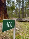 100 Wilga Road, Catterick, WA 6255-Image