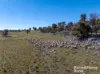 1006 Carrabungla Road, Laggan, NSW 2583-Image