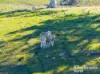 1006 Carrabungla Road, Laggan, NSW 2583-Image