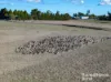 1006 Carrabungla Road, Laggan, NSW 2583-Image