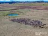 1006 Carrabungla Road, Laggan, NSW 2583-Image