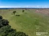 1006 Carrabungla Road, Laggan, NSW 2583-Image