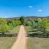 1008 Wallaces Gap Road, Bendoura, NSW 2622-Image