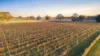 101 Gaffney Road, Coonawarra, SA 5263-Image