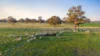 101 Gaffney Road, Coonawarra, SA 5263-Image