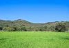1011 Guroba Road, Mudgee, NSW 2850-Image