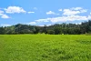 1011 Guroba Road, Mudgee, NSW 2850-Image