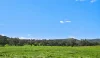 1011 Guroba Road, Mudgee, NSW 2850-Image
