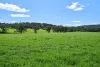 1011 Guroba Road, Mudgee, NSW 2850-Image