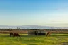 102, Runnymede Road, Binningup, WA 6233-Image