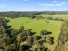 1028 Upper Boho Road, Boho South VIC 3669-Image