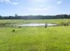 1028 Upper Boho Road, Boho South VIC 3669-Image