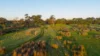 1031 Woodleigh Lane, Clay Wells, SA 5280-Image