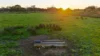 1031 Woodleigh Lane, Clay Wells, SA 5280-Image