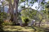 1033 Bunyah Road, Bunyah, NSW 2429-Image