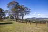 1033 Bunyah Road, Bunyah, NSW 2429-Image