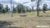104 Gillespie Road, Freestone, Qld 4370-Image
