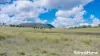 104 Gillespie Road, Freestone, Qld 4370-Image