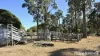 104 Gillespie Road, Freestone, Qld 4370-Image