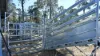 104 Gillespie Road, Freestone, Qld 4370-Image