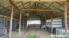 104 Gillespie Road, Freestone, Qld 4370-Image