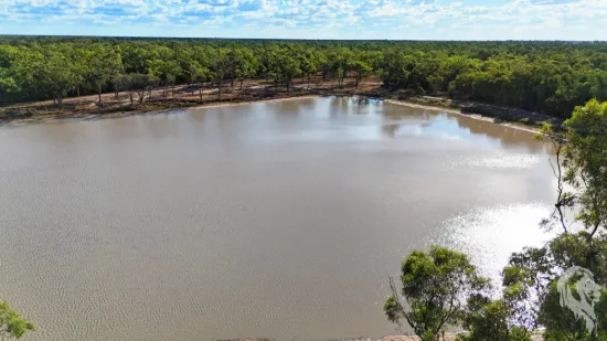 10402 Newell Highway, Jacks Creek, NSW 2390-Image