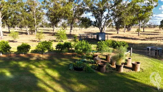 10402 Newell Highway, Jacks Creek, NSW 2390-Image