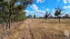10402 Newell Highway, Jacks Creek, NSW 2390-Image