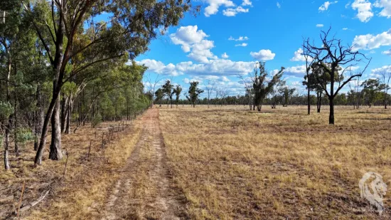 10402 Newell Highway, Jacks Creek, NSW 2390-Image
