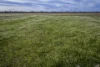 10415 Arthur Hall VC Way, Brewarrina, NSW 2839-Image