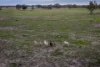 10415 Arthur Hall VC Way, Brewarrina, NSW 2839-Image