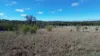 1045 Baltimore Loop Road, Atholwood NSW 2361-Image