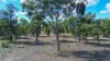 1045 Baltimore Loop Road, Atholwood NSW 2361-Image