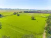 105 Auckrams Road, Irvington, NSW 2470