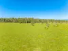 105 Auckrams Road, Irvington, NSW 2470-Image
