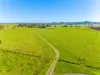 105 Auckrams Road, Irvington, NSW 2470-Image