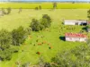 105 Auckrams Road, Irvington, NSW 2470-Image