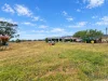 1050 Rosemount Road, Denman, NSW 2328-Image