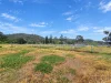 1050 Rosemount Road, Denman, NSW 2328-Image