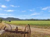 1050 Rosemount Road, Denman, NSW 2328-Image
