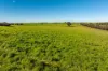 1067 Pulletop Road, Cookardinia, NSW 2650-Image