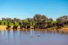 1067 Pulletop Road, Cookardinia, NSW 2650-Image