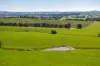 1067 Pulletop Road, Cookardinia, NSW 2650-Image