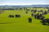 1067 Pulletop Road, Cookardinia, NSW 2650-Image