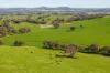 1067 Pulletop Road, Cookardinia, NSW 2650-Image